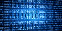 datavault_working_data datavault_working_data